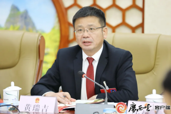 银河策略 黄瑞吉，严重损害党的形象、都安的形象